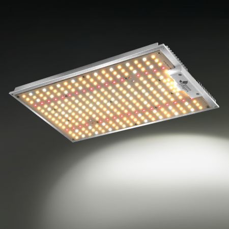 https://img.bestdeals.co.nz/products_pictures/571/57192_590488_F.jpg