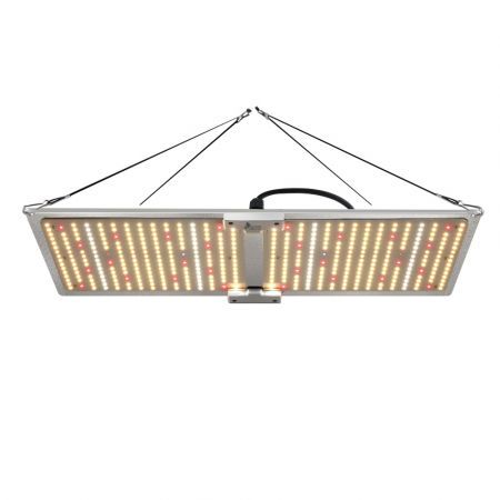 https://img.bestdeals.co.nz/products_pictures/571/57193_590491_F.jpg