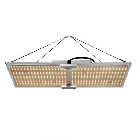 https://img.bestdeals.co.nz/products_pictures/571/57194_590499_F.jpg