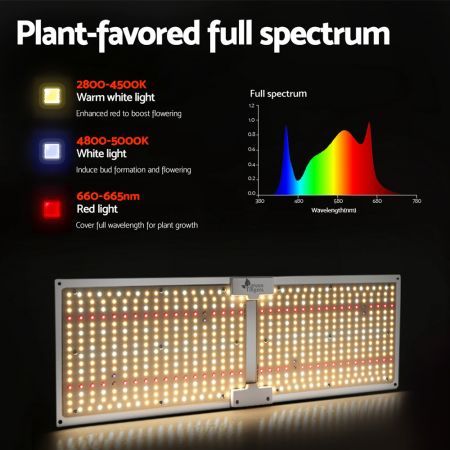 https://img.bestdeals.co.nz/products_pictures/571/57194_590500_F.jpg