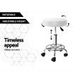 Artiss Round Chair Stools Salon Stool White Swivel Beauty Barber Hairdressing