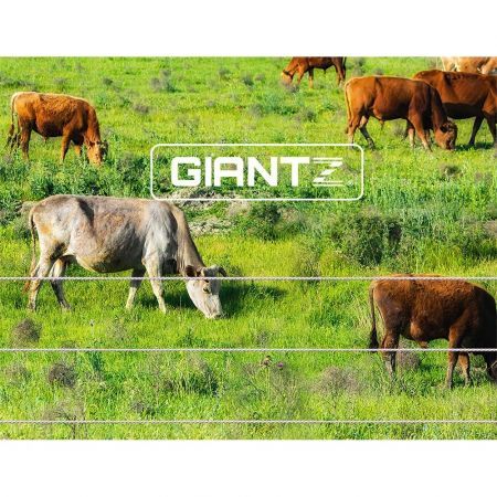 https://img.bestdeals.co.nz/products_pictures/578/57867_540248_F.jpg