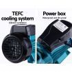 Giantz Peripheral Water Pump Clean Garden Farm Rain Tank Irrigation Electric QB60