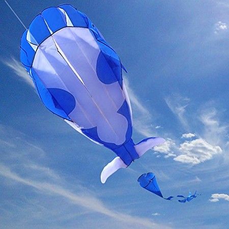 https://img.bestdeals.co.nz/products_pictures/583/58363_543715_F.jpg