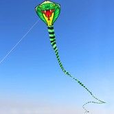 3D Snake Kites with Flying Line Outdoor Fun Sports Kite Fun Toys for Lawn, Beach, Garden Family Gatherings