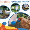 Auto Waterer Cups 5PCS Chicken Feeder Drinker Automatic Chook Hen Poultry Coop Drinking Dispenser Kit Farm Livestock Hydration