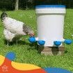 Auto Waterer Cups 5PCS Chicken Feeder Drinker Automatic Chook Hen Poultry Coop Drinking Dispenser Kit Farm Livestock Hydration