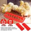 2 Plastic Flip Top Bird Small Poultry Feeder for Pigeon Chicken Feeder Dispenser (Red)