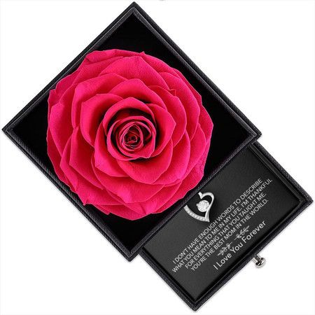 https://img.bestdeals.co.nz/products_pictures/594/59415_554215_F.jpg