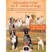Dog Bark Collar with Remote and Automatic Mode - Up to 3300ft Range Dog Shock Collar for Small Medium Large Dogs 5-120lbs,Waterproof Electric Dog Training Collar