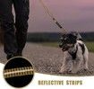 Heavy Duty Bungee Dog Leash Tactical Reflective Shock Absorbing Leashes for Large Dogs