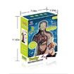 Human Torso Body Model Anatomy Anatomical Internal Organs For Teaching Early Education Human Toy