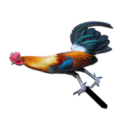 https://img.bestdeals.co.nz/products_pictures/595/59527_555345_F.jpg