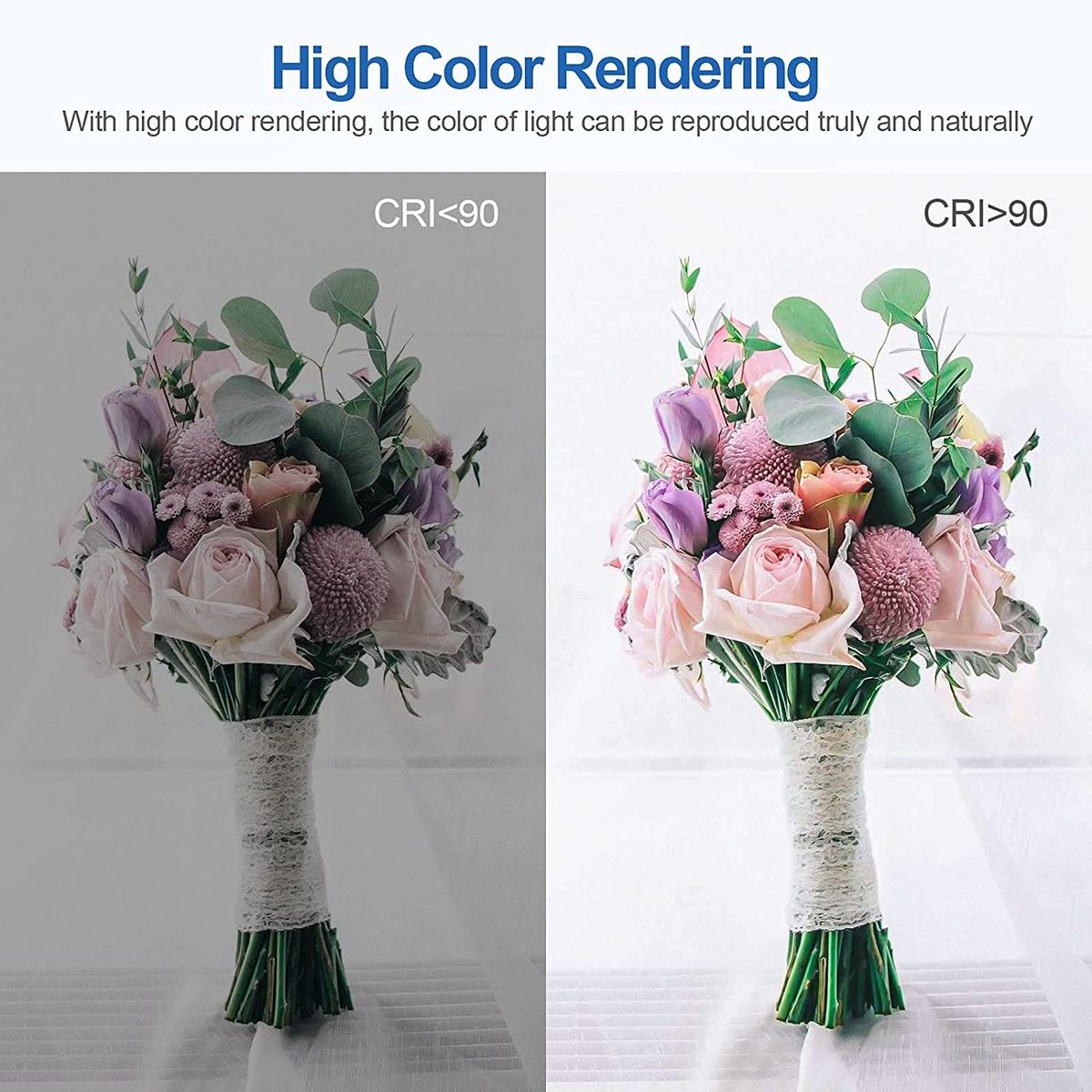 https://img.bestdeals.co.nz/products_pictures/595/59553_555534_F.jpg