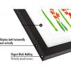Children Art Frames Kids Artwork Storage Rack Magnetic Front Open Changeable for Poster Photo Drawing Paintings Pictures Display Color Wood