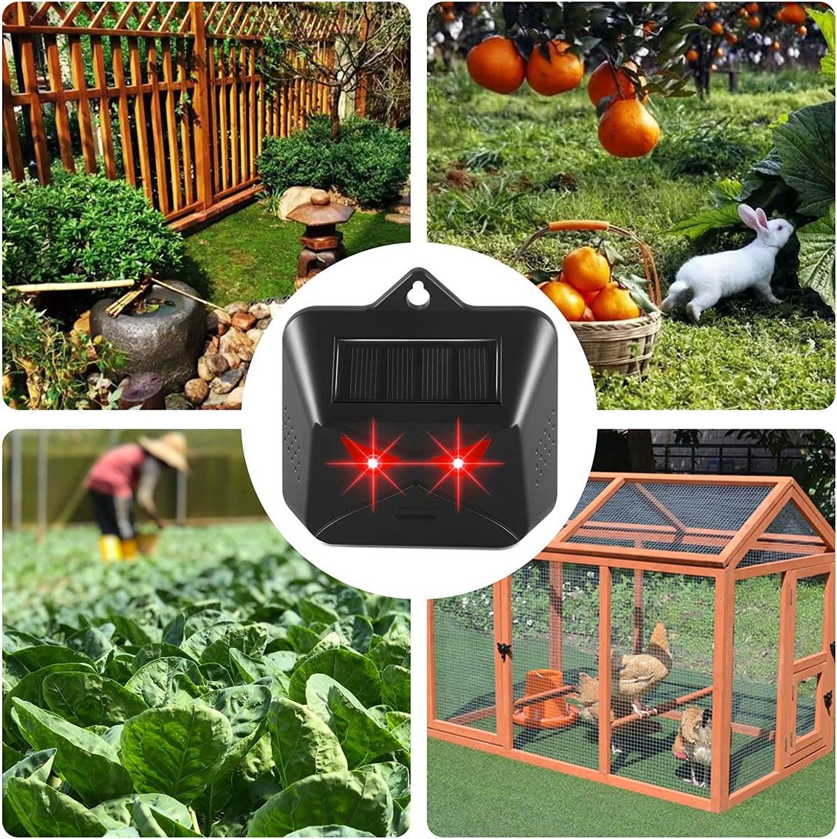 https://img.bestdeals.co.nz/products_pictures/596/59620_556089_F.jpg