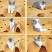 Pet Cat Toy Durable Holed Blanket Foldable Play Mat Hide And Seek Carpet with Holes Scratch-Resistant Hiding House