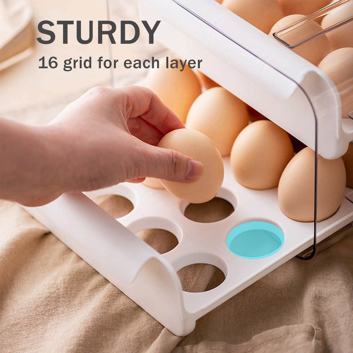 https://img.bestdeals.co.nz/products_pictures/596/59681_556655_F.jpg