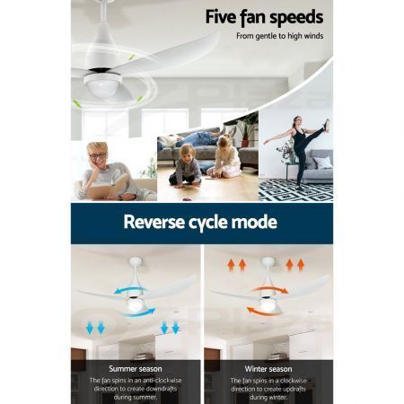 https://img.bestdeals.co.nz/products_pictures/600/60077_560070_F.jpg