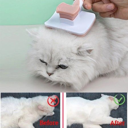 https://img.bestdeals.co.nz/products_pictures/603/60320_562080_F.jpg