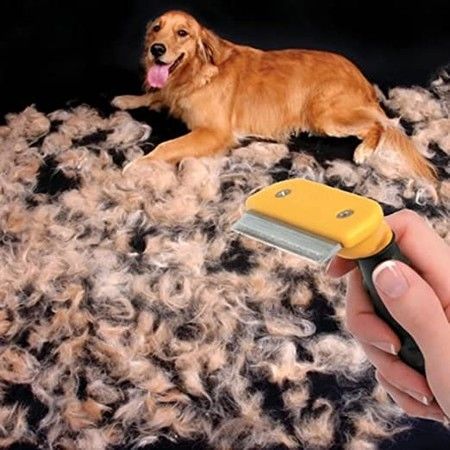 https://img.bestdeals.co.nz/products_pictures/603/60322_562094_F.jpg