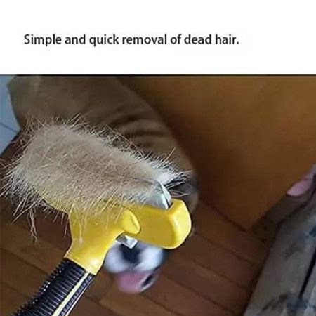 https://img.bestdeals.co.nz/products_pictures/603/60322_562095_F.jpg