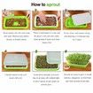 Seed Sprouter Tray BPA Free PP Soil-Free Big Capacity Healthy Wheatgrass Grower Sprouting Container Kit with Lid (2Pack,Green)