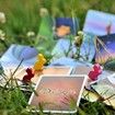 Dixit Board Game, Storytelling Game for Kids and Adults Ages 8+
