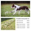 Dog Agility Training Equipment 5 Set Pet Obstacle Course Sports Exercise Kit Ladder Weave Poles Jump Bar Hurdle Ring Hoop Carry Bag