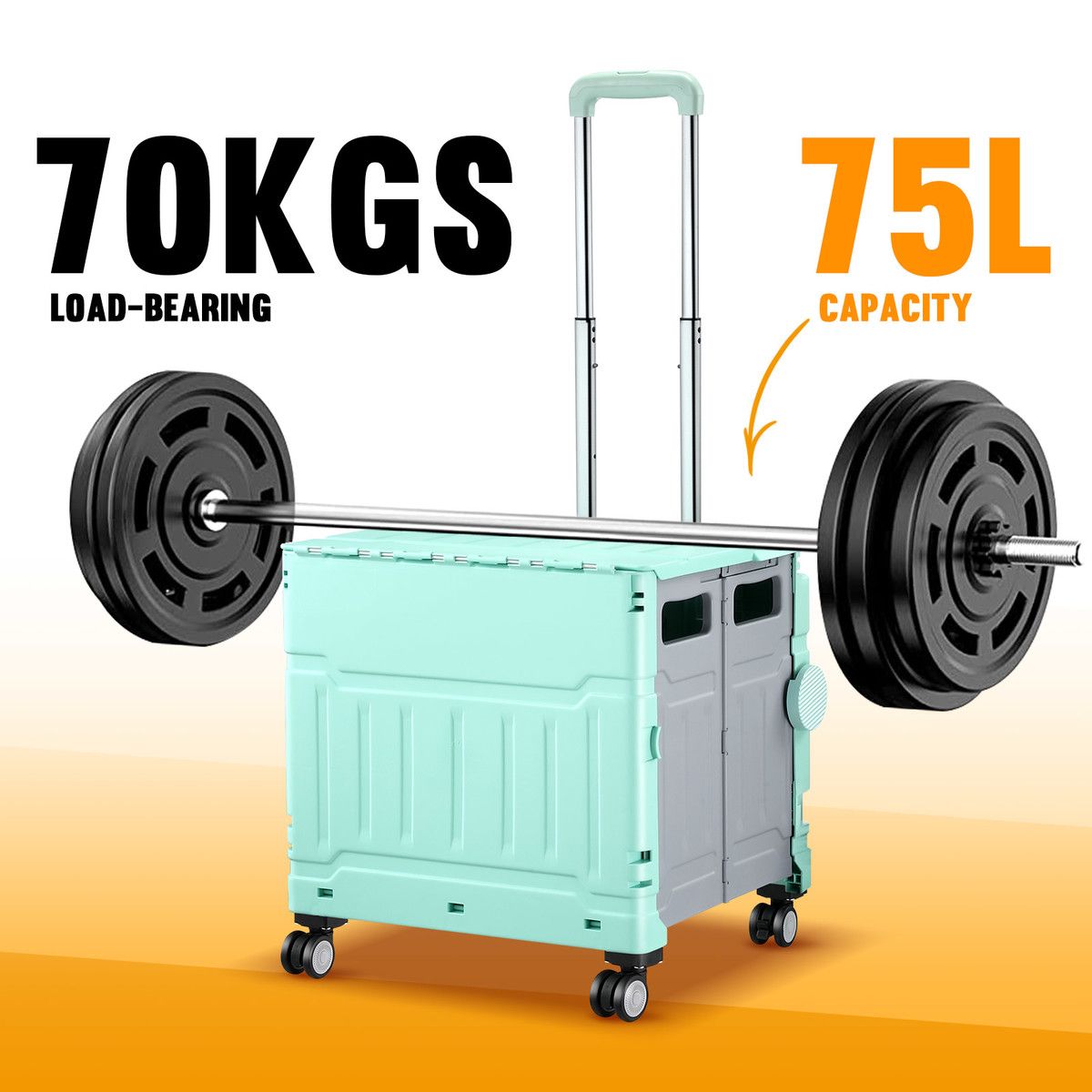 https://img.bestdeals.co.nz/products_pictures/603/60394_563265_F.jpg