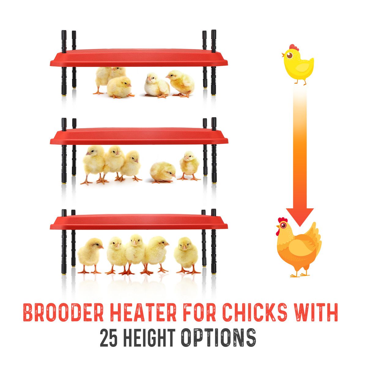 https://img.bestdeals.co.nz/products_pictures/604/60400_563345_F.jpg