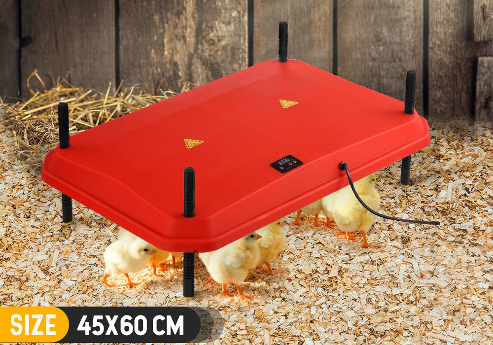 Chick Brooder Heating Plate Warmer Chicken Coop Brooding Heater Poultry Duckling Chook 45x60cm 40-50 Chicks Adjustable Height