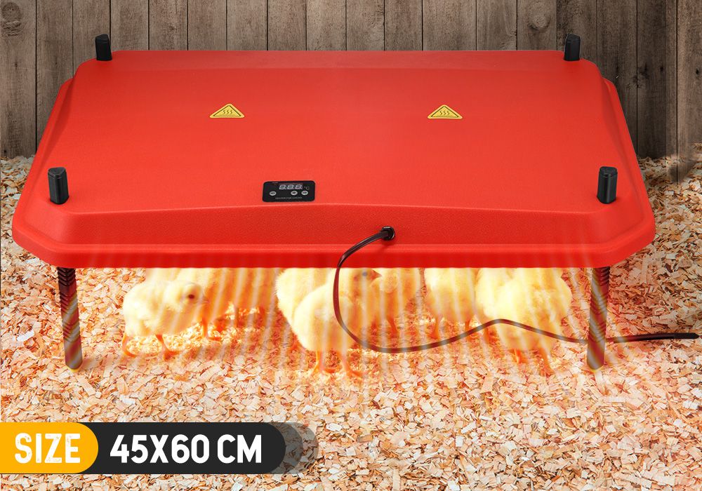 Chick Brooder Heating Plate Warmer Chicken Coop Brooding Heater Poultry Duckling Chook 45x60cm 40-50 Chicks Adjustable Height