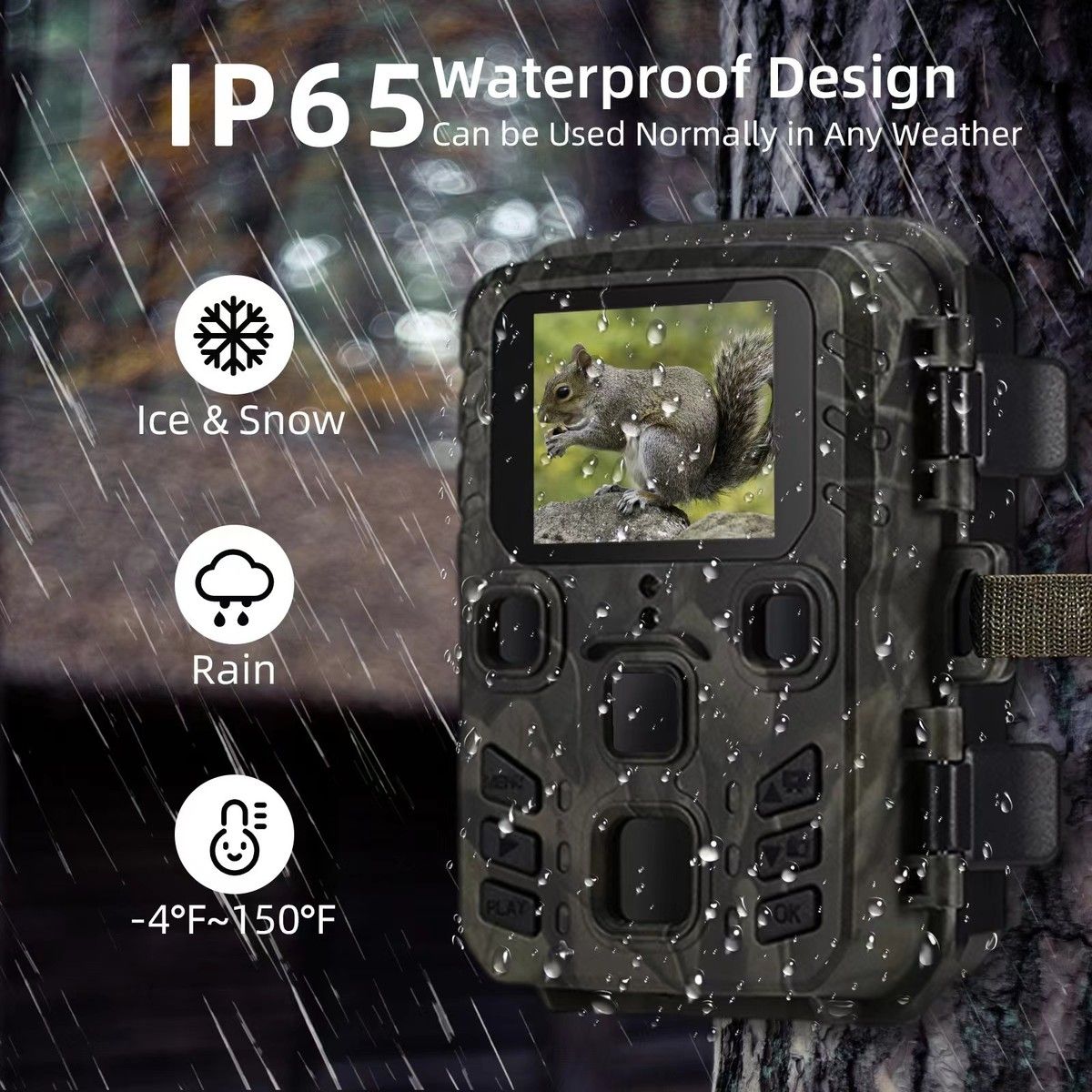 https://img.bestdeals.co.nz/products_pictures/604/60413_563443_F.jpg