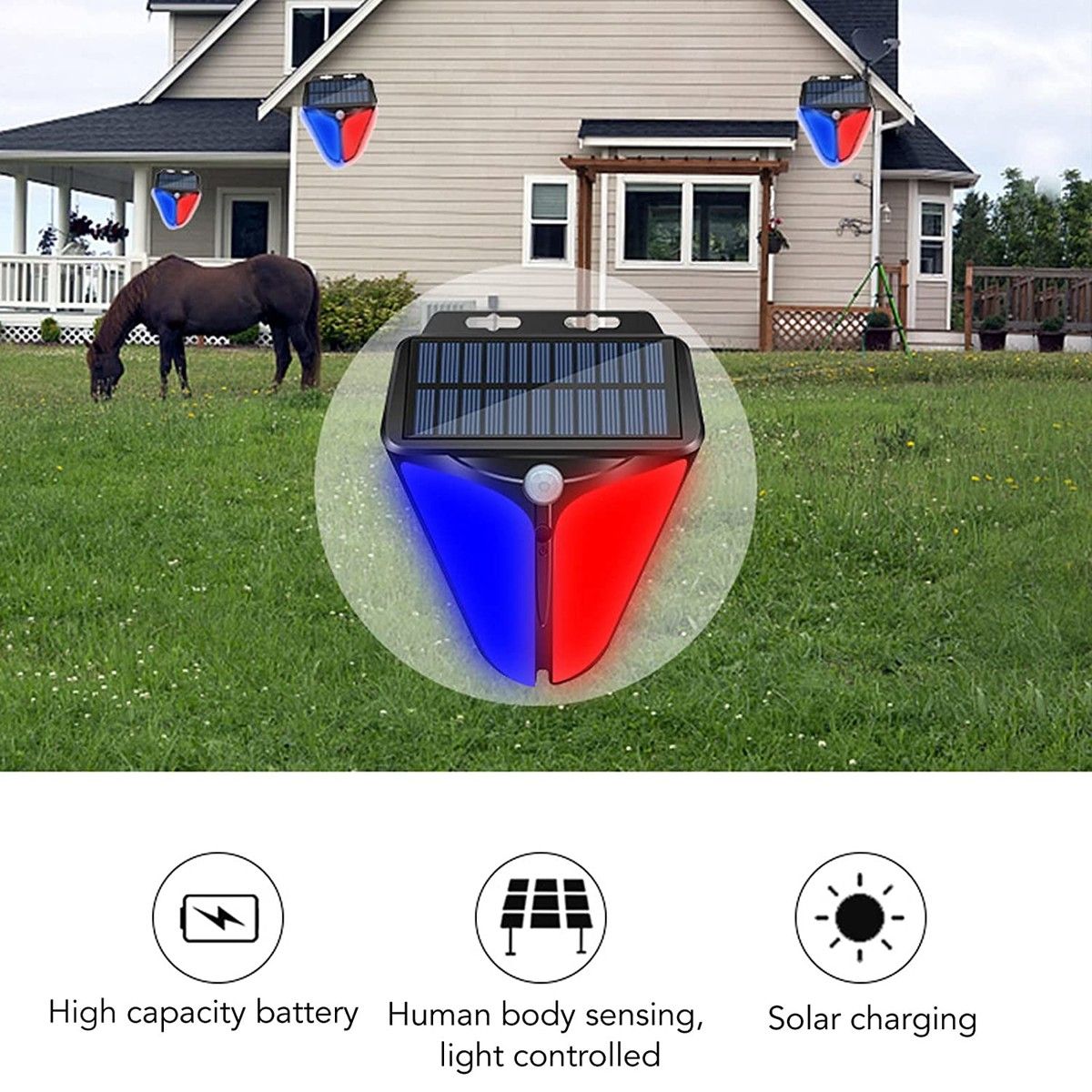 https://img.bestdeals.co.nz/products_pictures/604/60489_564384_F.jpg