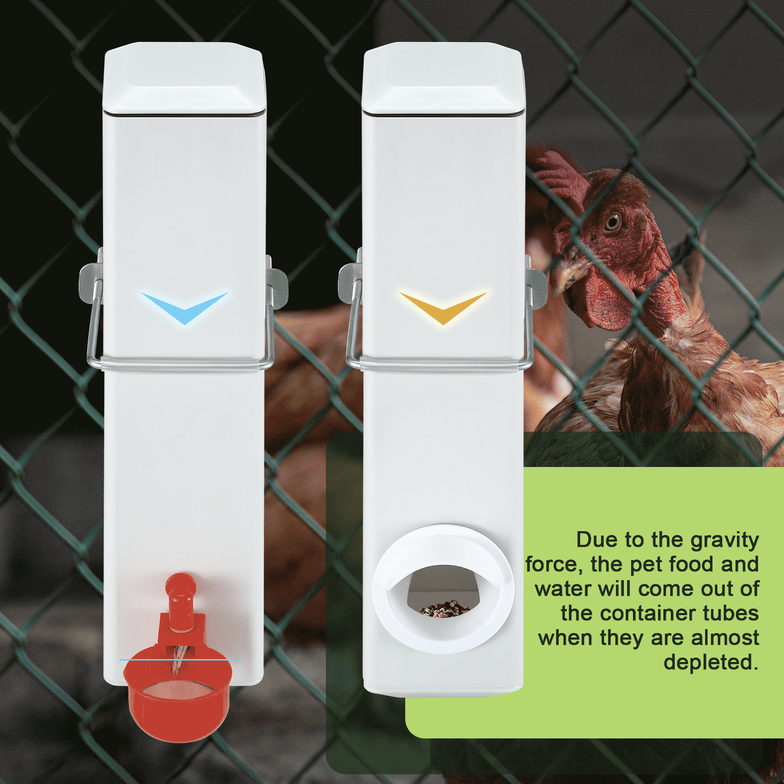 Chicken Bird Feeder Water Dispenser Automatic Waterer Poultry Food