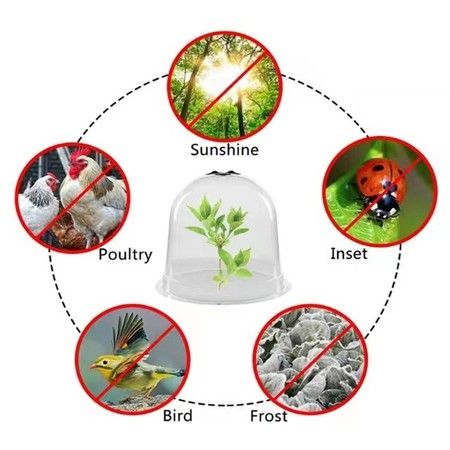 https://img.bestdeals.co.nz/products_pictures/606/60624_565773_F.jpg