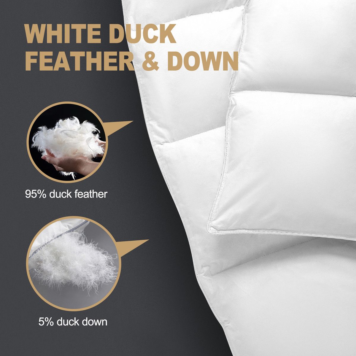 https://img.bestdeals.co.nz/products_pictures/606/60630_565837_F.jpg