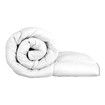 Queen Size Duvet Quilt Goose Feather Down Bed Bedding Winter Comforter Breathable 500GSM Lightweight Cotton Cover White 210x210cm