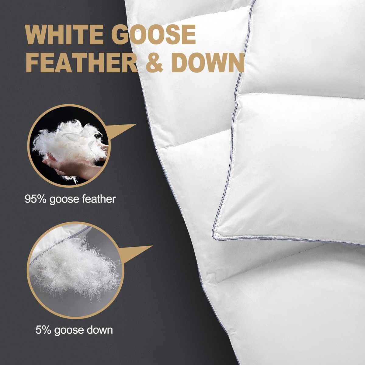 https://img.bestdeals.co.nz/products_pictures/606/60635_565962_F.jpg