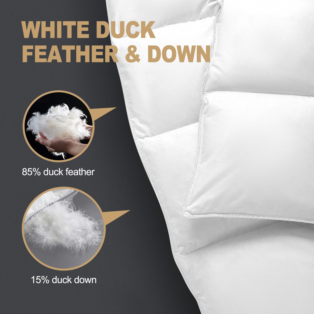 https://img.bestdeals.co.nz/products_pictures/606/60636_565985_F.jpg
