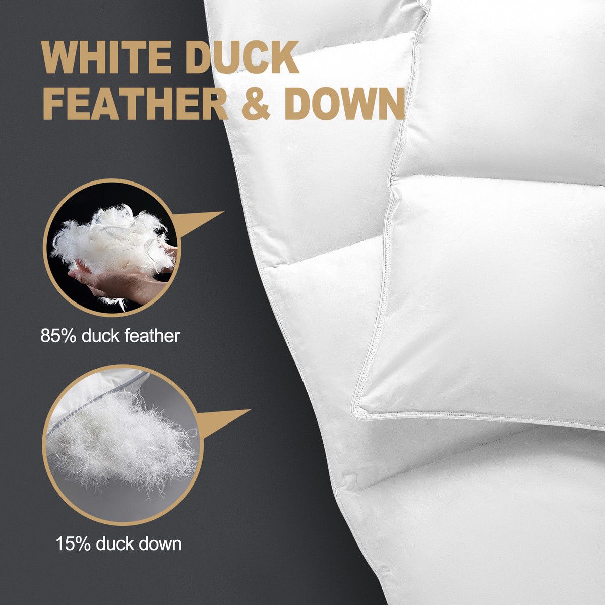 https://img.bestdeals.co.nz/products_pictures/606/60638_566034_F.jpg