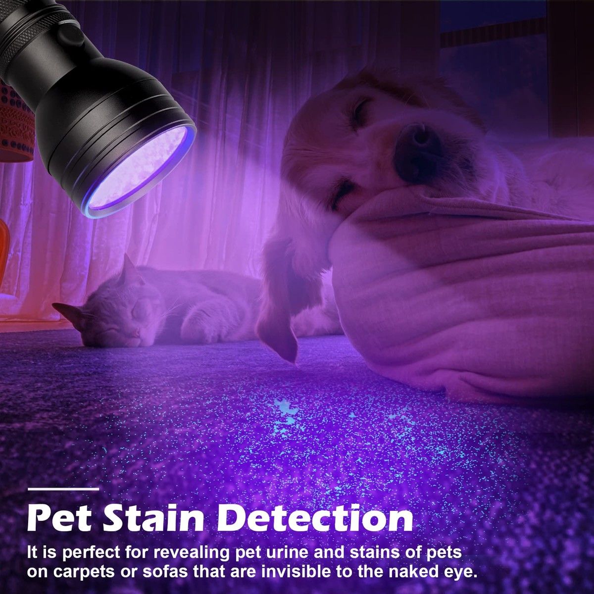 https://img.bestdeals.co.nz/products_pictures/606/60653_566216_F.jpg