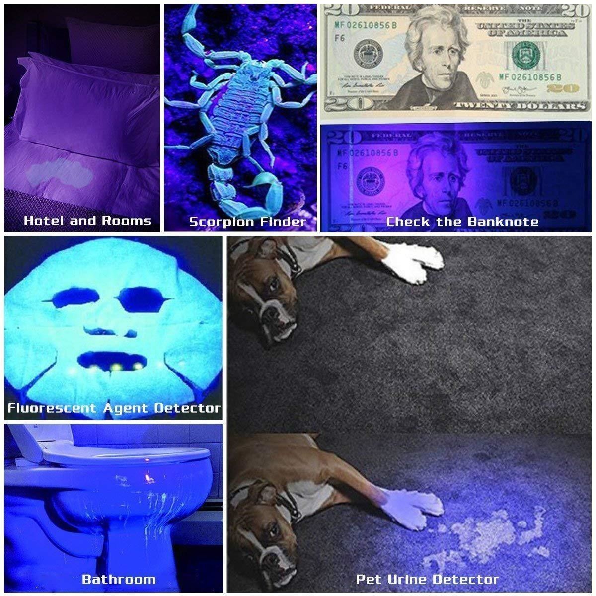 https://img.bestdeals.co.nz/products_pictures/606/60653_566219_F.jpg