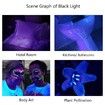 UV Flashlight Black Light, 51 LED 395 nM Ultraviolet Blacklight Detector for Dog Urine, Pet Stains and Bed Bug
