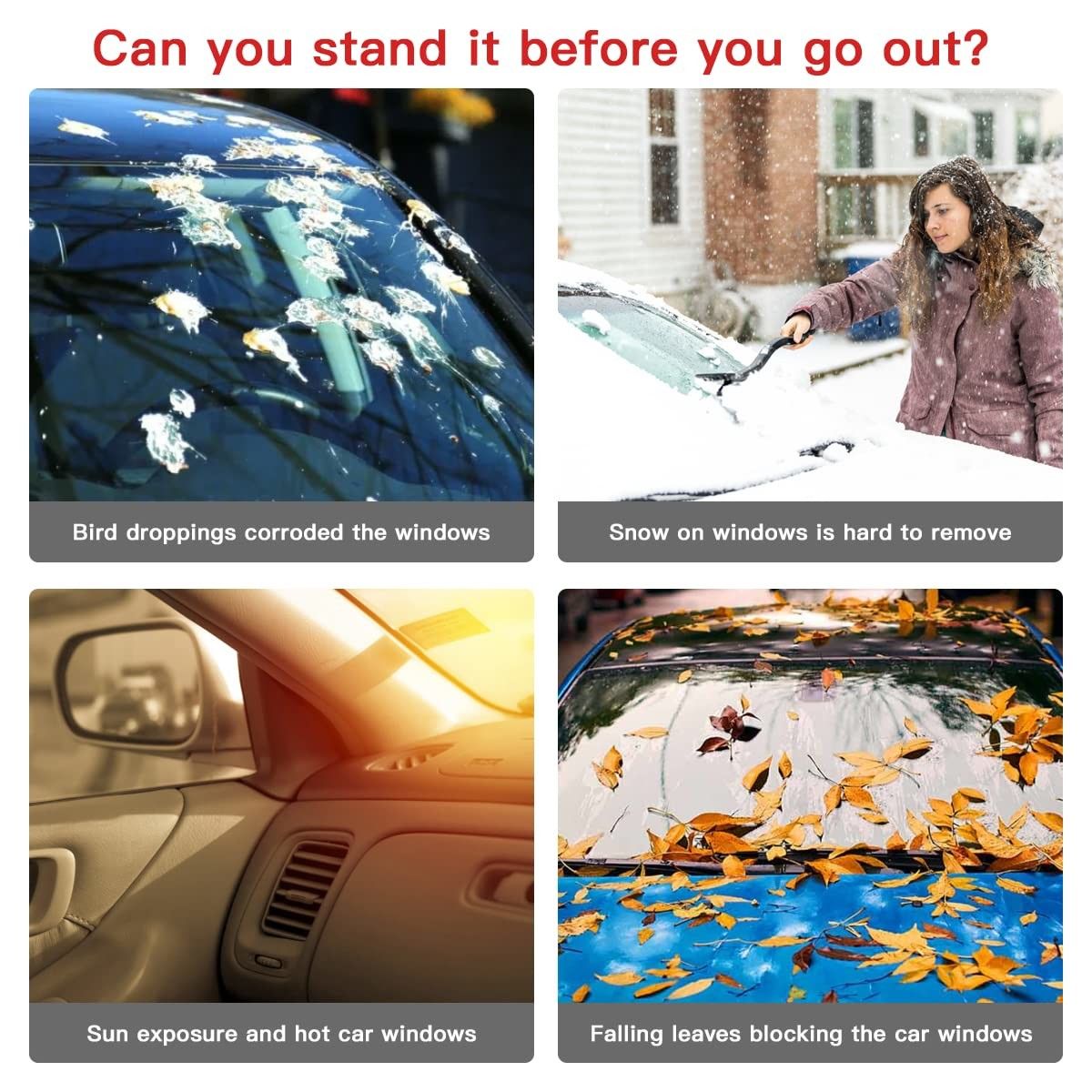 https://img.bestdeals.co.nz/products_pictures/606/60694_566588_F.jpg