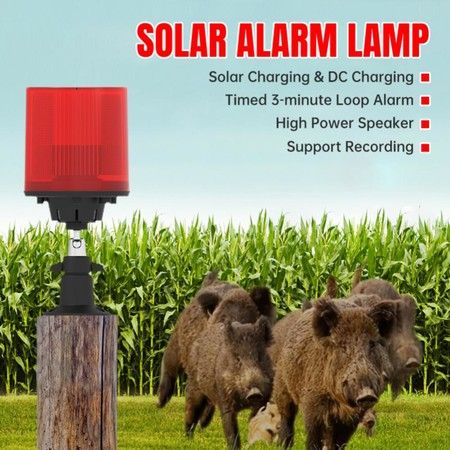 https://img.bestdeals.co.nz/products_pictures/607/60719_566815_F.jpg