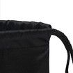Portable travel shoe bag,Space-saving dust-proof storage bag(5 pack,13 x 17.32 inch)
