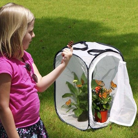 https://img.bestdeals.co.nz/products_pictures/610/61018_570275_F.jpg