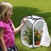 Insect and Butterfly Habitat Cage Terrarium Pop-up (Black,23.6 Inches Tall)
